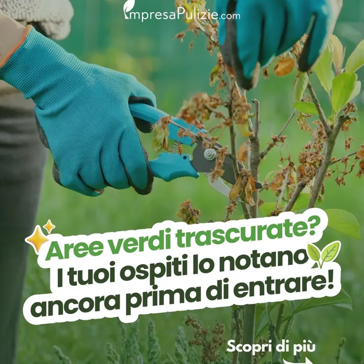 Gli ospiti notano tutto. Anche il giardino. 🌿 Settembre riporta clienti,…